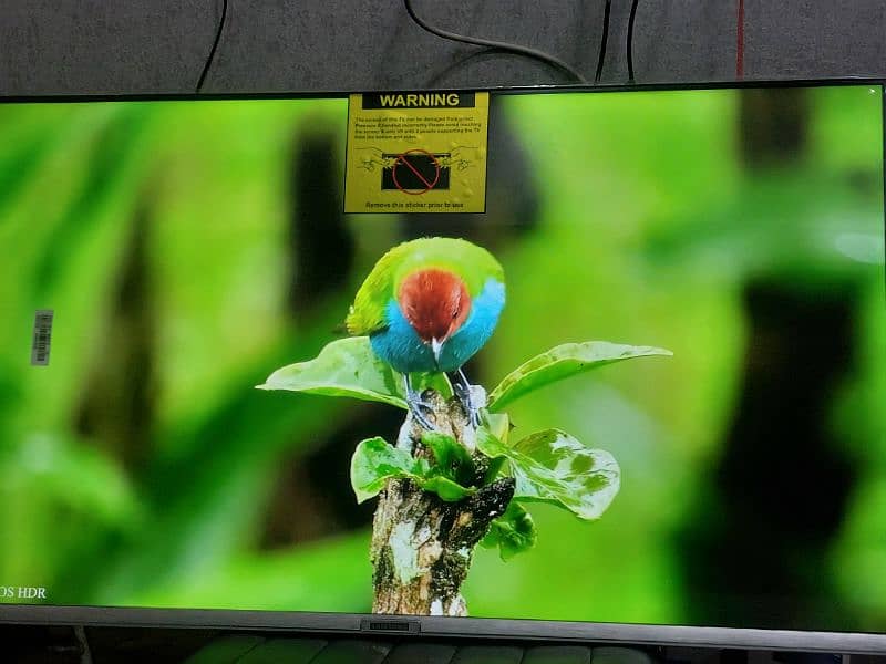 65 INCH LED TV ANDROID TV LATEST MODEL 3 YEAR WARRANTY 03221257237 9