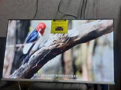 55 INCH LED TV ANDROID TV LATEST MODEL 3 YEAR WARRANTY 03221257237 0