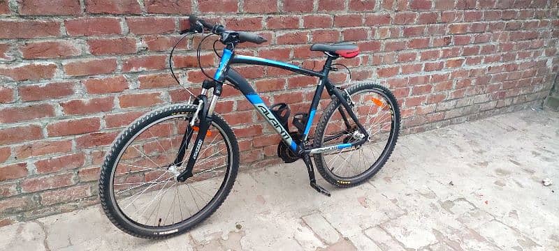 Avanti 26"MTB bicycle 2