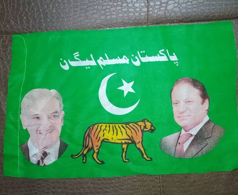 PP P flag for Rally,for car, top roof,badge, cap, delivery from Lahore 18