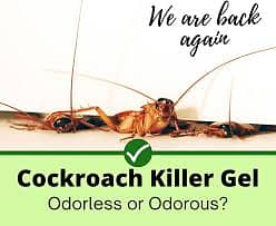 cockroach spray/pest control/termite control/deemak control/dengue 9