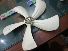 Plastic fan