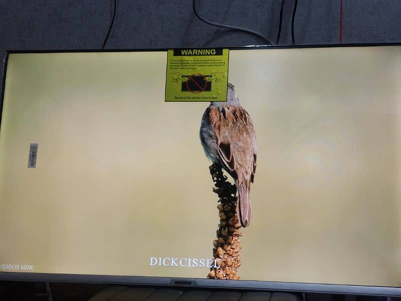32 INCH NEW ANDROID LED 4K UHD IPS DISPLAY 3 YEAR WARRANTY 03221257237 1