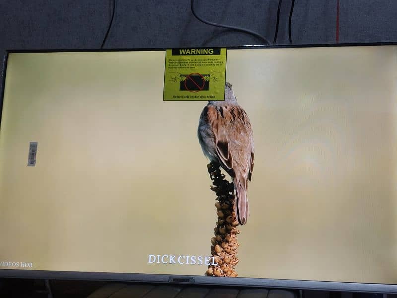 SAMSUNG 55 INCH LED TV BEST QUALITY 2024 MODELS  03444819992 7