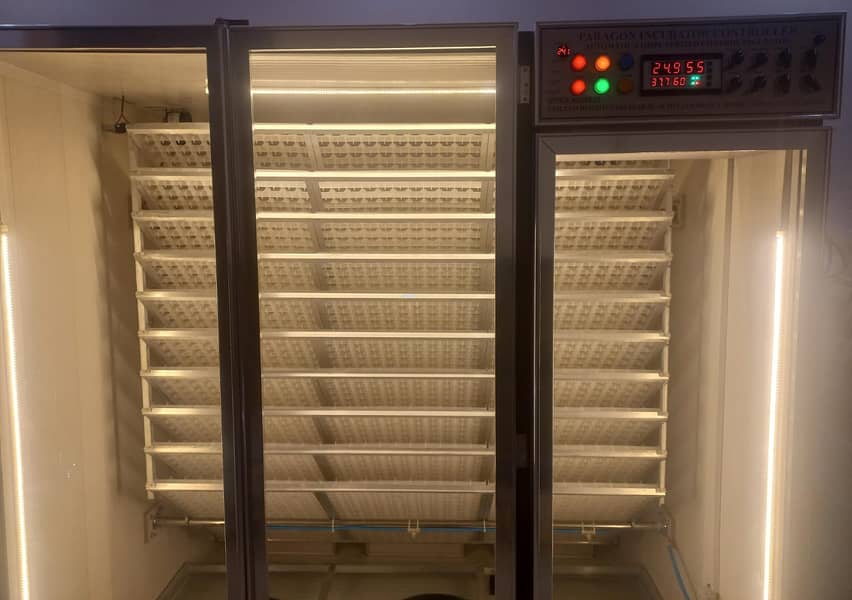 AAA-5000 eggs Incubator Automatic | Egg Hatching Machine For Sale 1