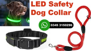 imported Safety Dog Collar with Leash