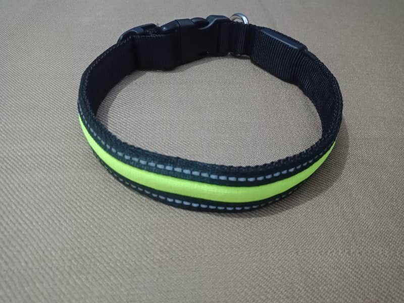 imported Safety Dog Collar with Leash 3
