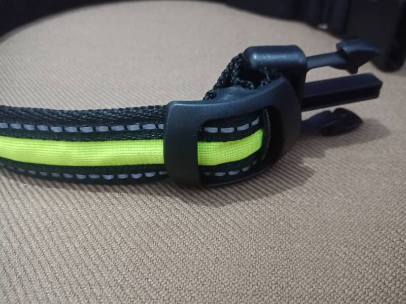 imported Safety Dog Collar with Leash 5