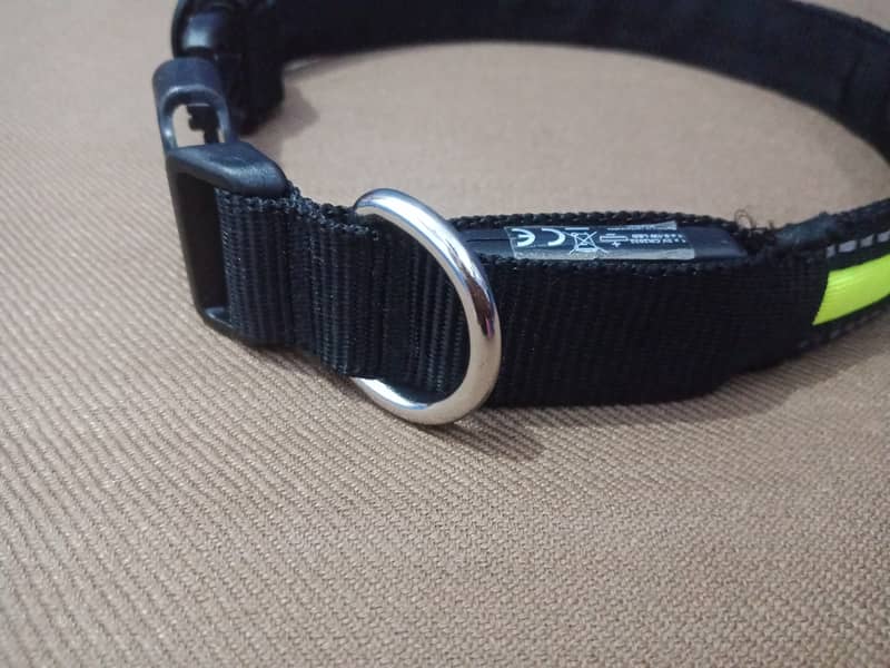 imported Safety Dog Collar with Leash 6