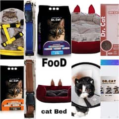 Cat food | Cat Litter | cat bed | cat | cat harness | E-Collar