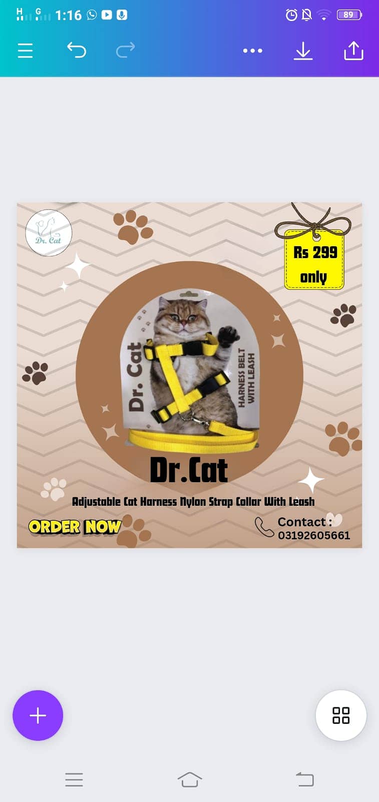 Cat food | Cat Litter | cat bed | cat | cat harness | E-Collar 11