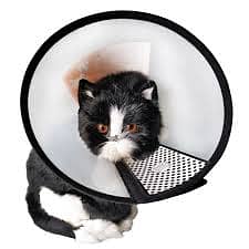 Cat food | Cat Litter | cat bed | cat | cat harness | E-Collar 12