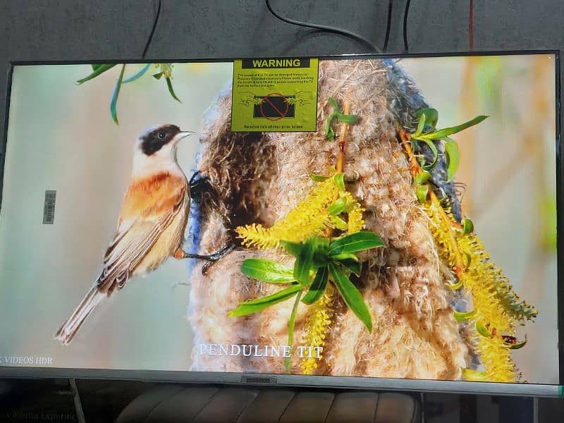 LIMITED OFFER 43 INCH ANDROID LED 4K 03221257237 3