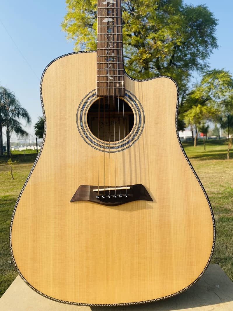 Yamaha Fender Taylor Martin Kapok Dean Deviser Acoustic Semi Guitars 13