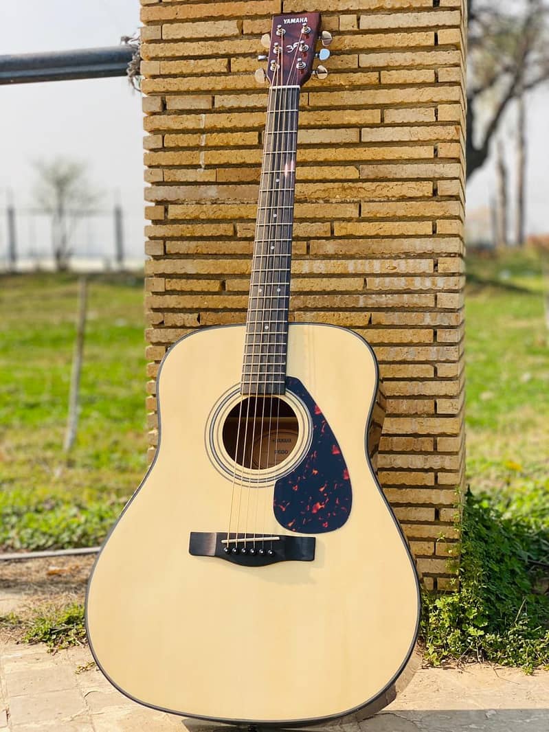 Yamaha Fender Taylor Martin Kapok Dean Deviser Acoustic Semi Guitars 2