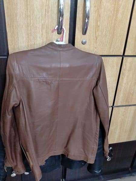 Premium Classic Leather Jacket 2