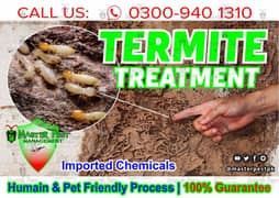 Termite control pest control dengue spary fumigation