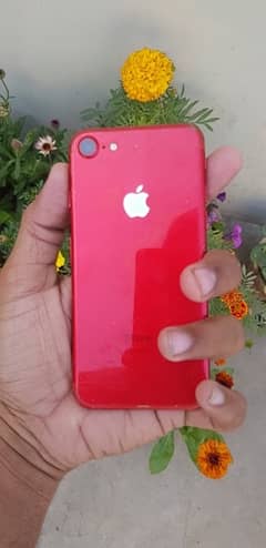 7+ Red Block Color