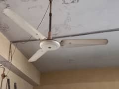 Ceiling Fan 56 in