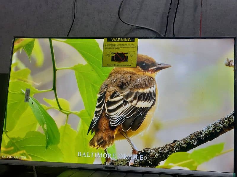 43 INCH LED TV ANDROID TV LATEST MODEL 3 YEAR WARRANTY 03001802120 5