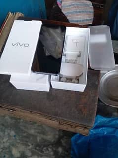 vivo