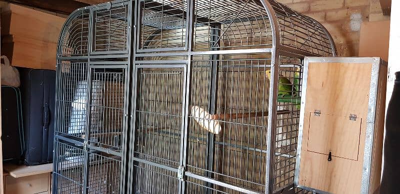 montana parrot cage - fancy maccow cage - luxury parrot cages 12