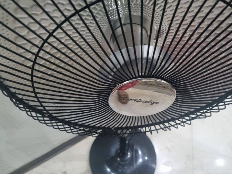 Cambridge parabolic heater large 008 4