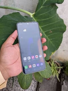 LG