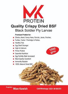 High Growth special (BSF) larvae