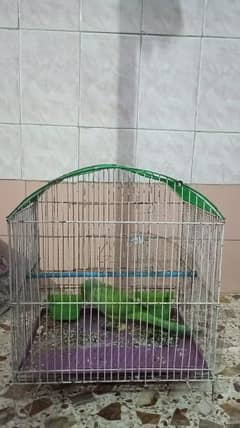 Parrot n Big Size Cage