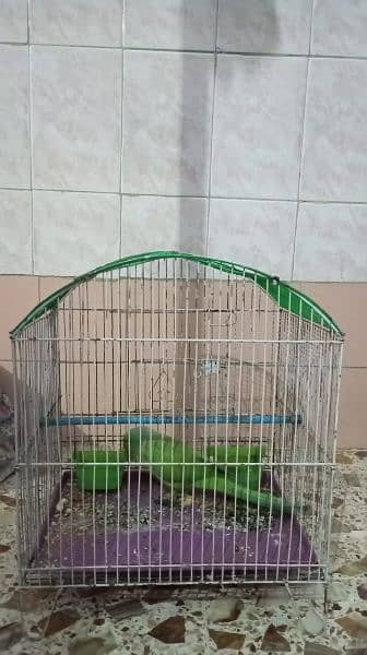 Parrot n Big Size Cage 0