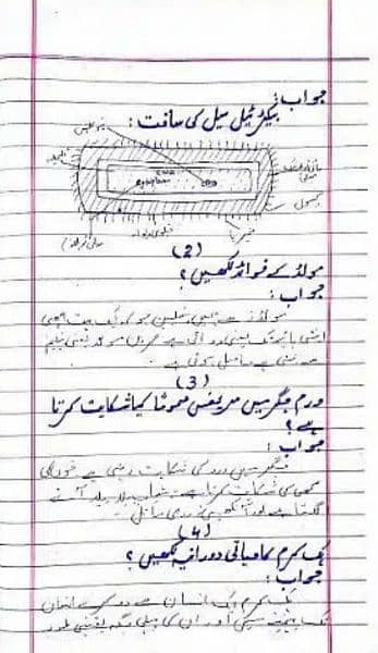 Aiou Handwritten Assignment. 5