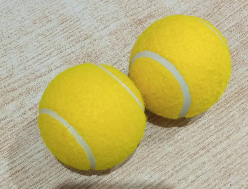 24Pcs Tennis Balls Sports Outdoor Training Play Fun Cricket Beach Dog 10
