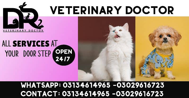 Veterinary Doctor Pet Doctor 0