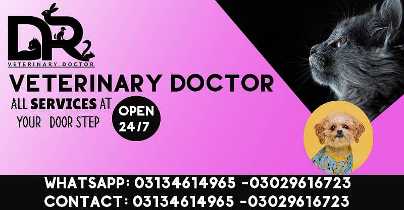 Veterinary Doctor Pet Doctor 1