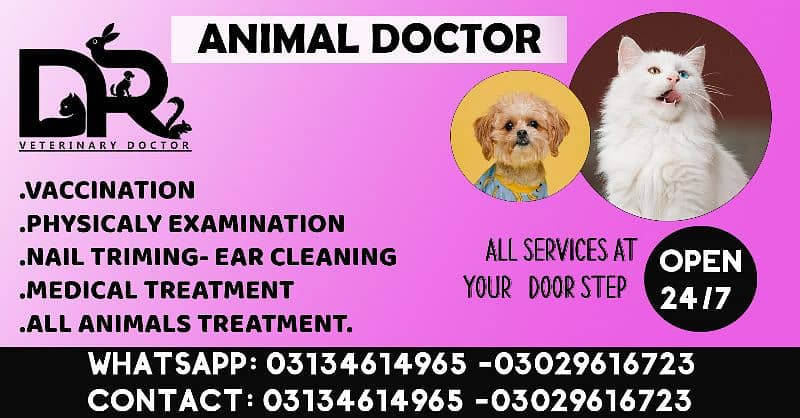 Veterinary Doctor Pet Doctor 2