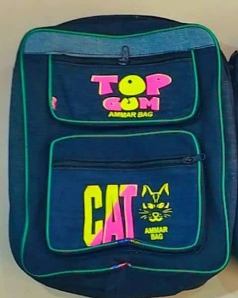 BOYS AND GURLS SCHOOL BAGS COLLECTION 12