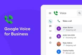 Google voice