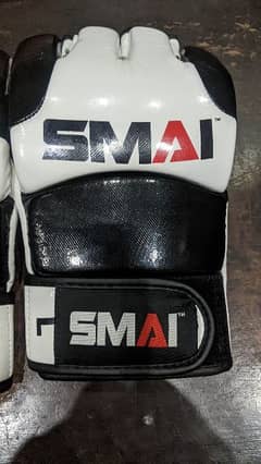 boxing gloves professional original American brand