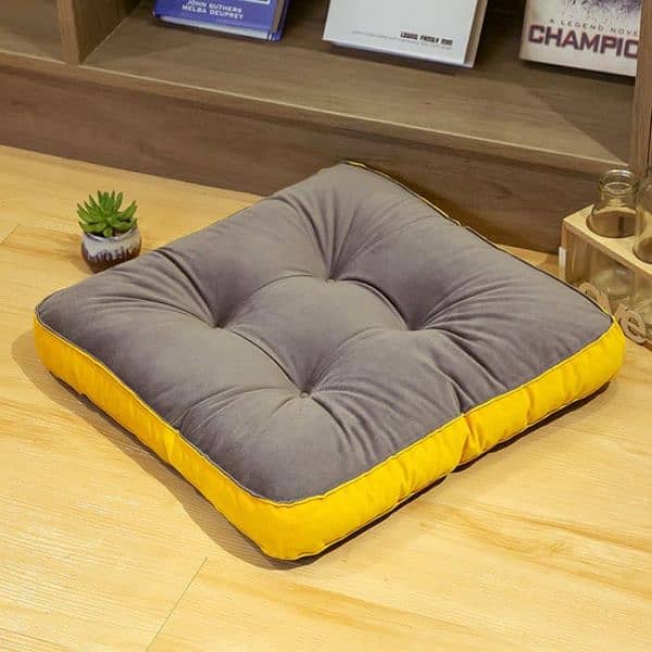 Floor Cushion Best Quality Vilvat  2 piece 3000  All Colors  Available 5