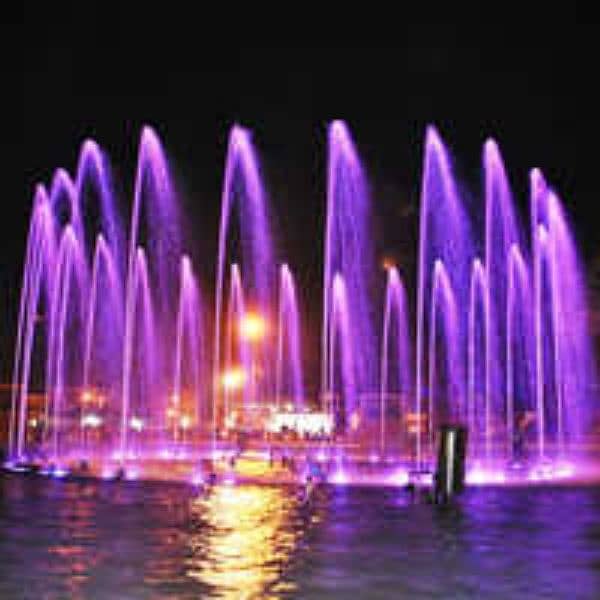 Dancing Fountain & Light, Submersible pump, waterfall, Sprinkler ,Drip 11