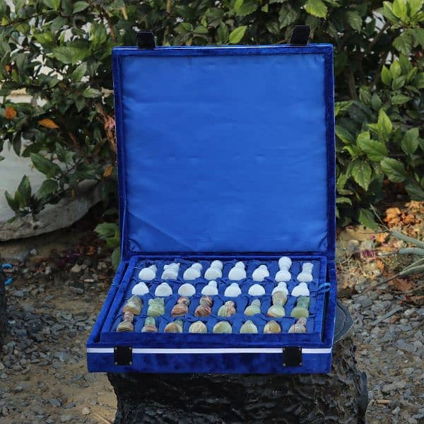Handmade Elegant Marble chess set with Velvet Gift box 1
