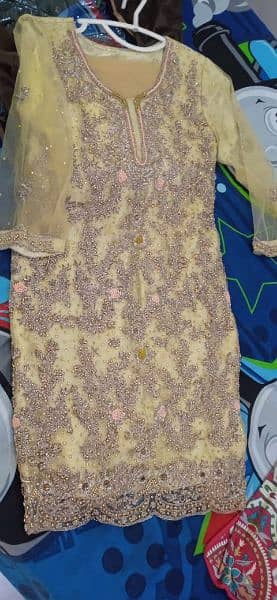 Bridal Sharaara with fully Embroidered work. 3