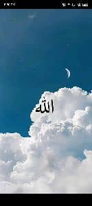 Haider Ali