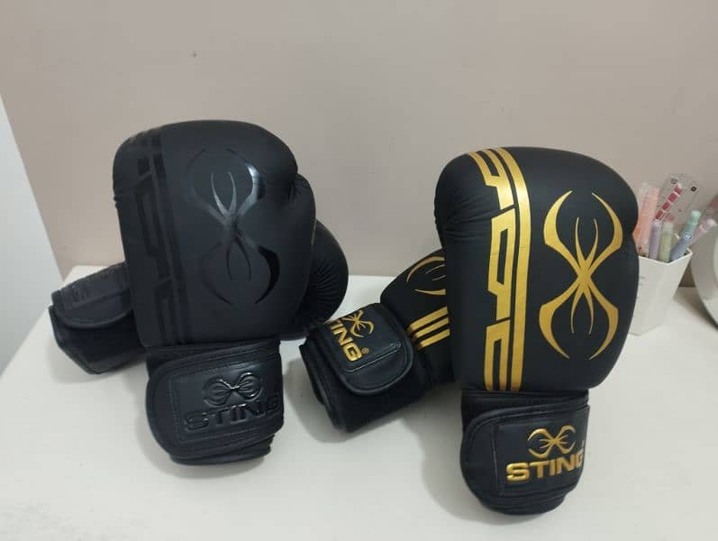 Sting Armaplus Boxing Gloves 1