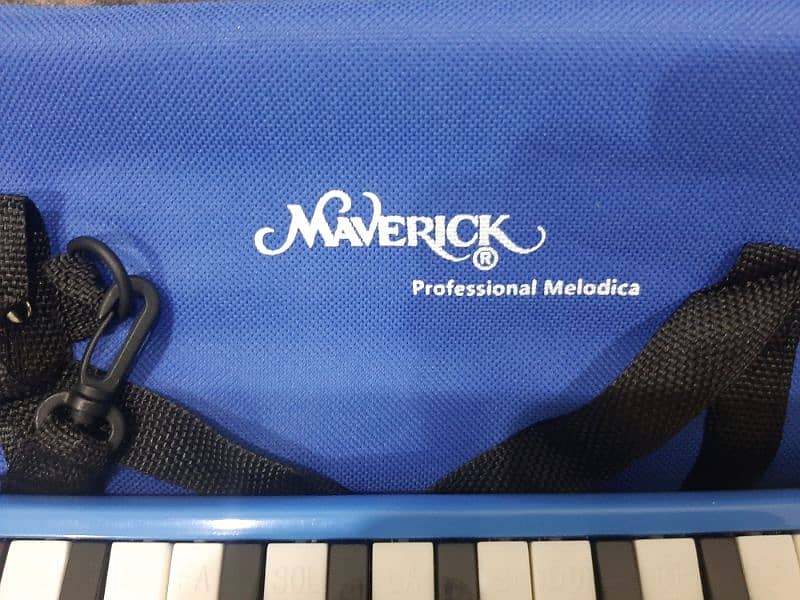 Melodica 32 keys with softcase 4