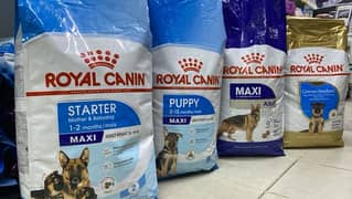 dog food royal canin  starter puppy adult gaint
