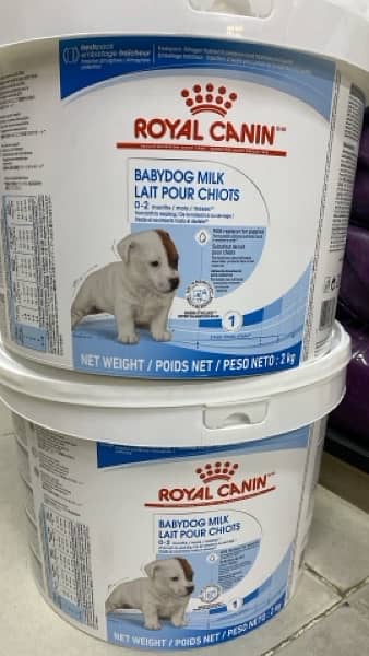 dog food royal canin  starter puppy adult gaint 1