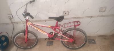 safari bicycle