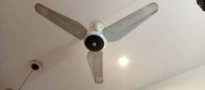 Sk ceiling fans new condition